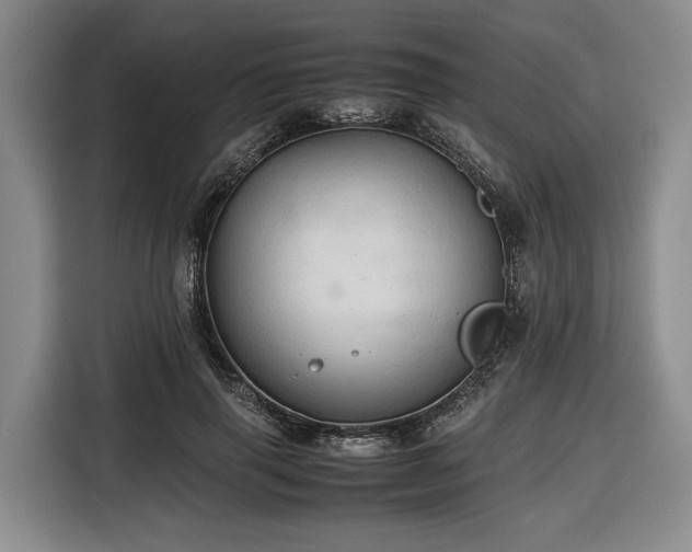 X0000116680645200912211624