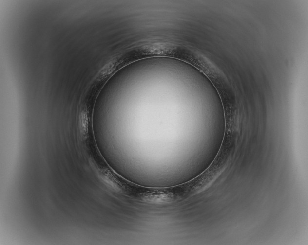 X0000116680646200912211624