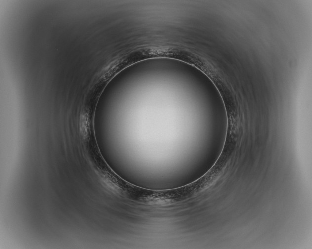 X0000116680648200912211624