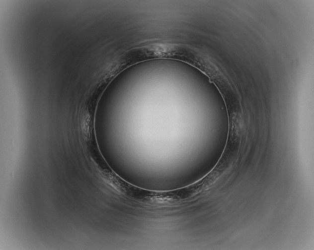 X0000116680650200912211624