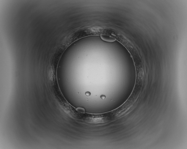 X0000116680651200912211625