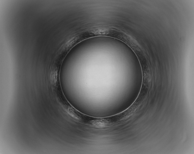 X0000116680652200912211625