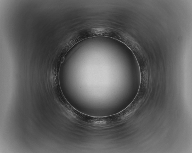 X0000116680653200912211625