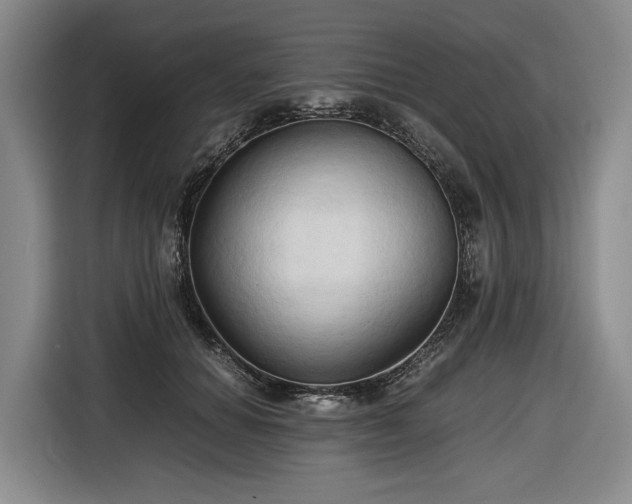 X0000116680654200912211625