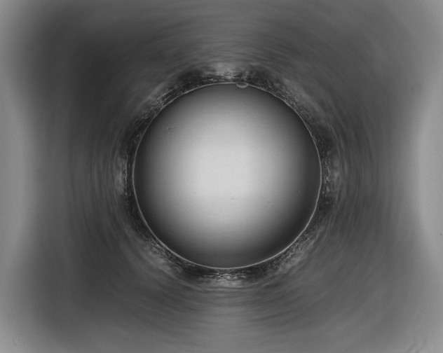 X0000116680656200912211625