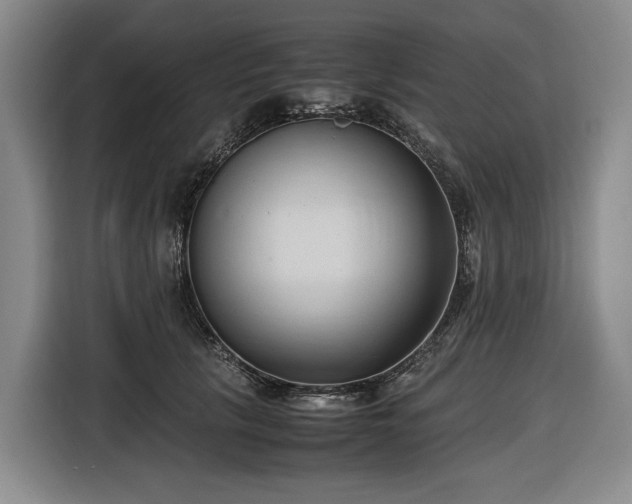 X0000116680657200912211625