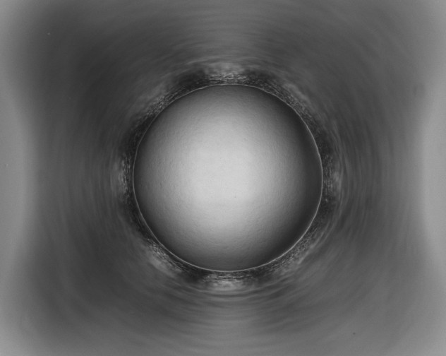 X0000116680658200912211625