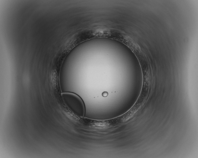 X0000116680659200912211625