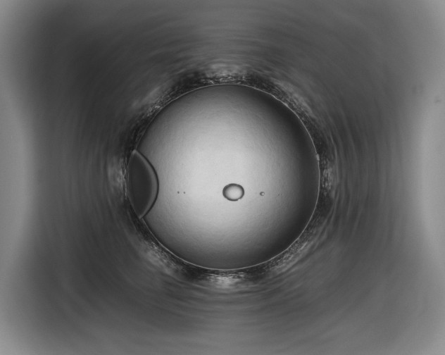 X0000116680662200912211625