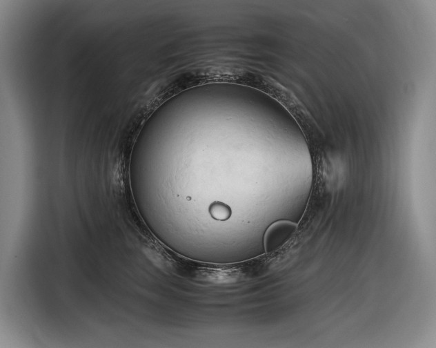 X0000116680663200912211625