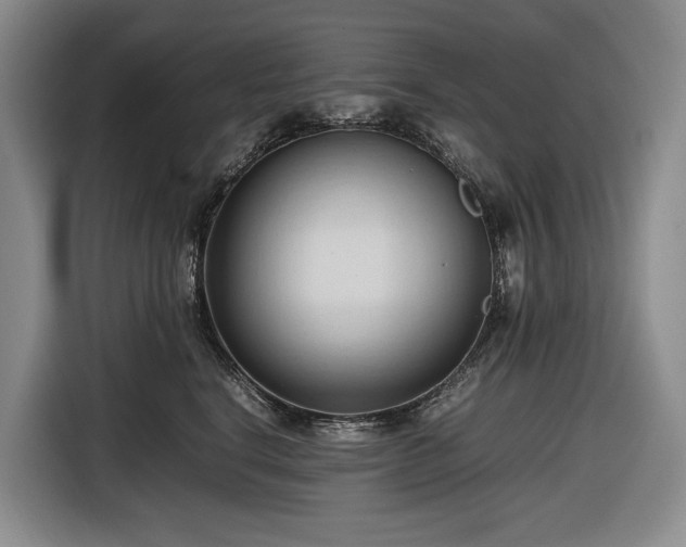 X0000116680664200912211625