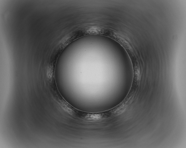 X0000116680665200912211625