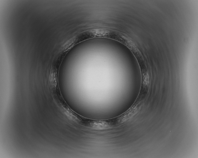 X0000116680666200912211625