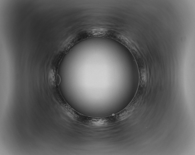 X0000116680667200912211625