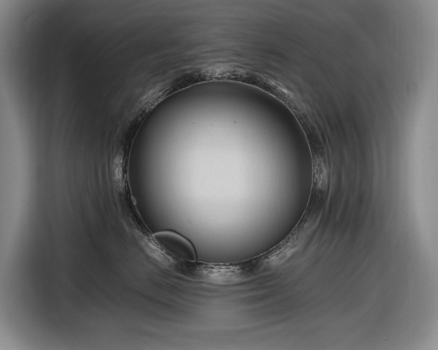 X0000116680670200912211625