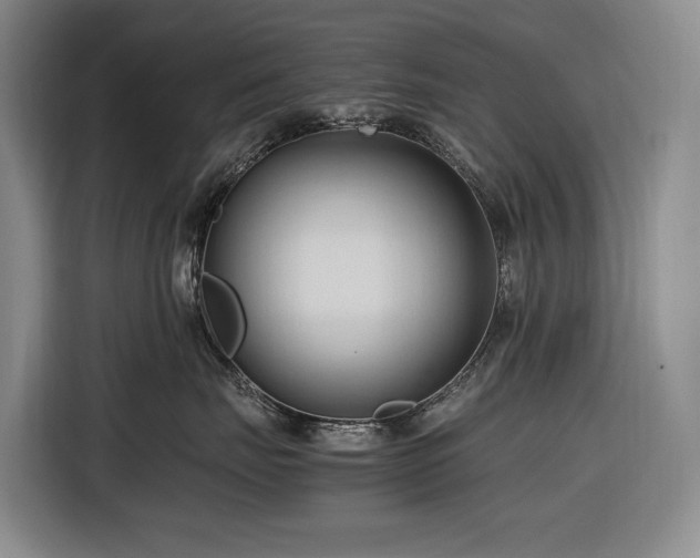 X0000116680671200912211625