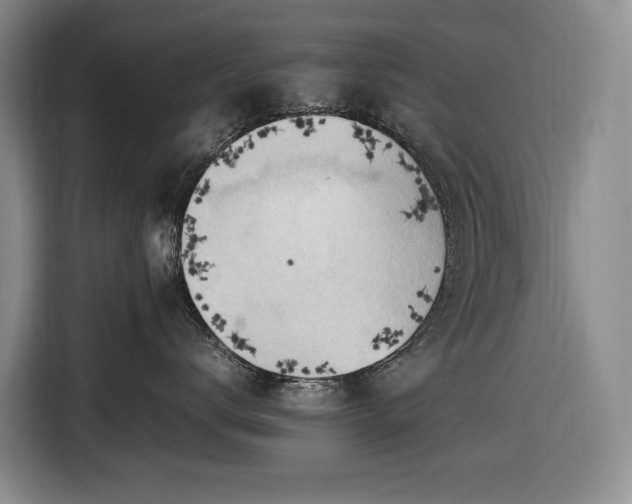 X0000116680672200912211625