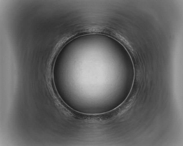 X0000116680673200912211624