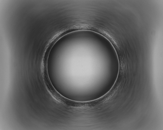 X0000116680674200912211624