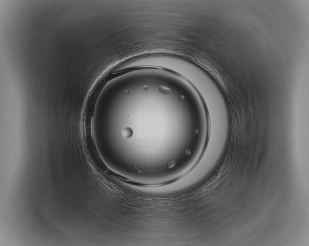 X0000116680676200912211624