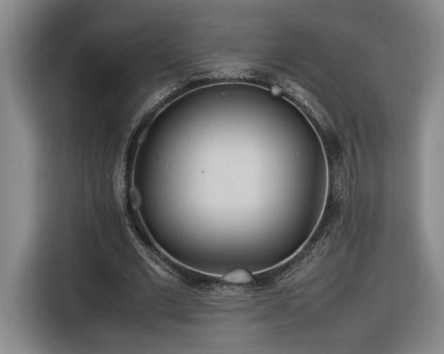 X0000116680677200912211624