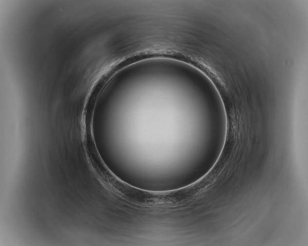 X0000116680678200912211624