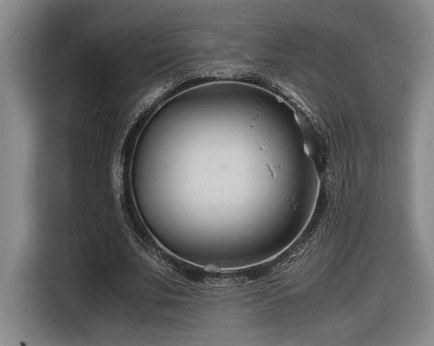 X0000116680679200912211624