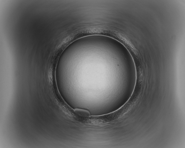 X0000116680681200912211624