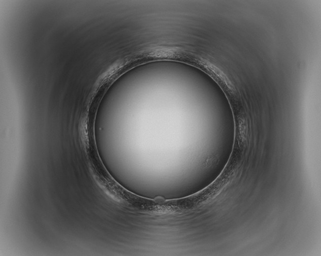 X0000116680682200912211624