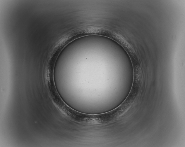 X0000116680683200912211624