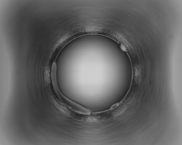 X0000116680684200912211624