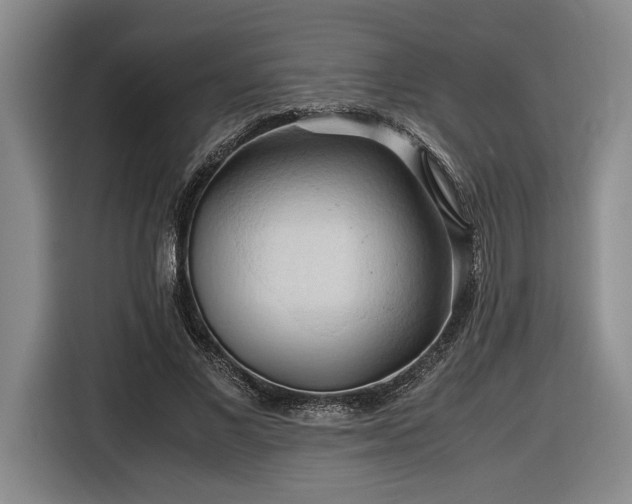 X0000116680685200912211624