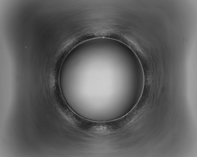 X0000116680687200912211624