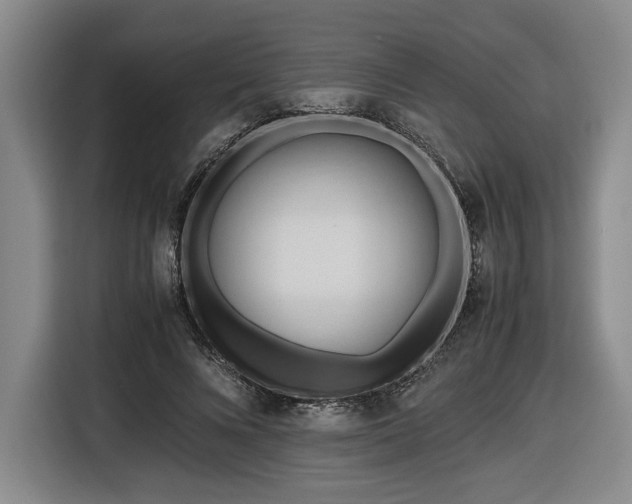 X0000116680688200912211624