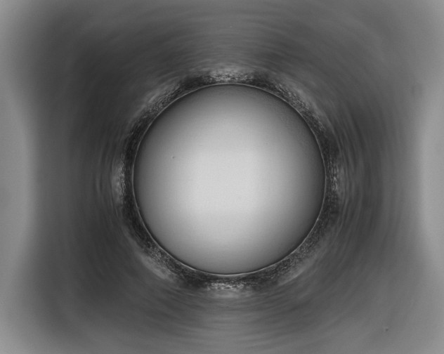 X0000116680690200912211624