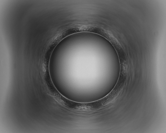 X0000116680691200912211624