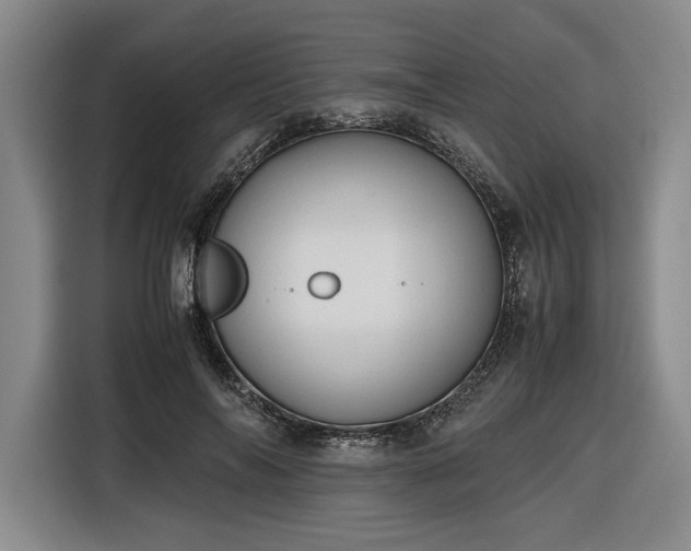 X0000116680694200912211624