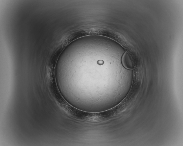 X0000116680695200912211624