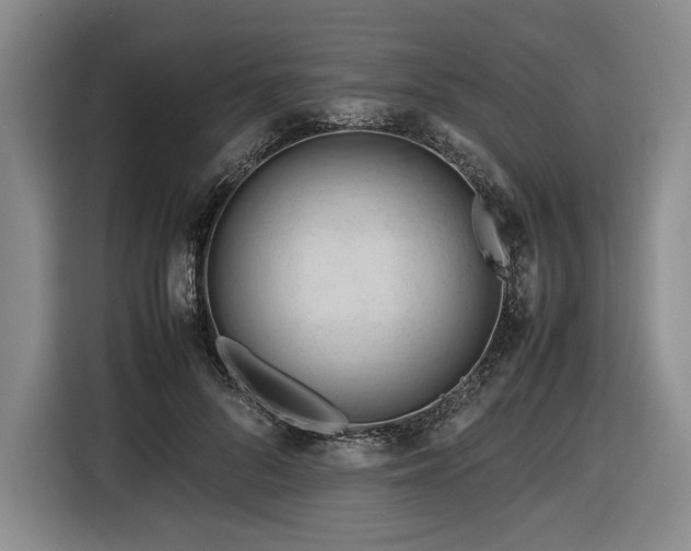 X0000116680696200912211624