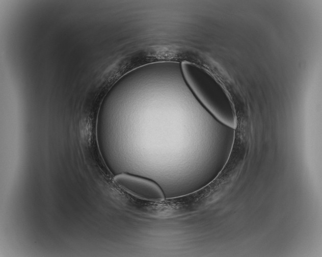 X0000116680697200912211624