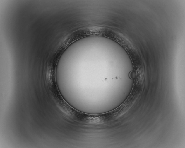 X0000116680698200912211624