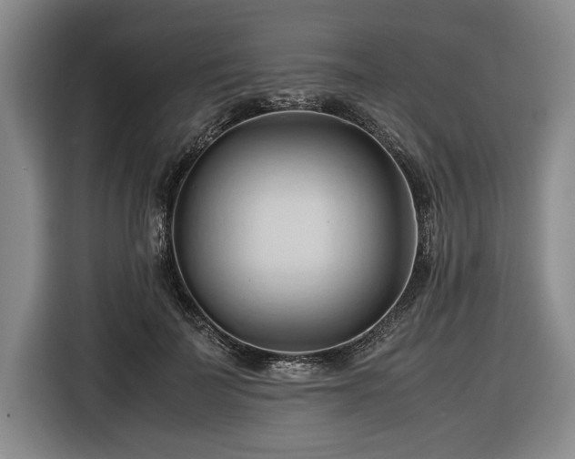 X0000116680699200912211624