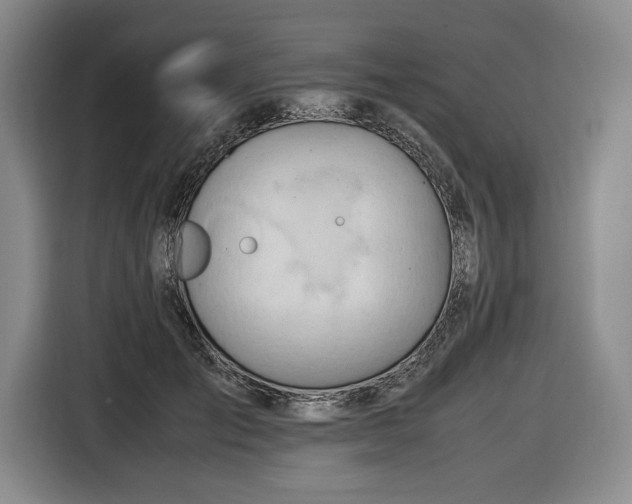 X0000116680701200912211624