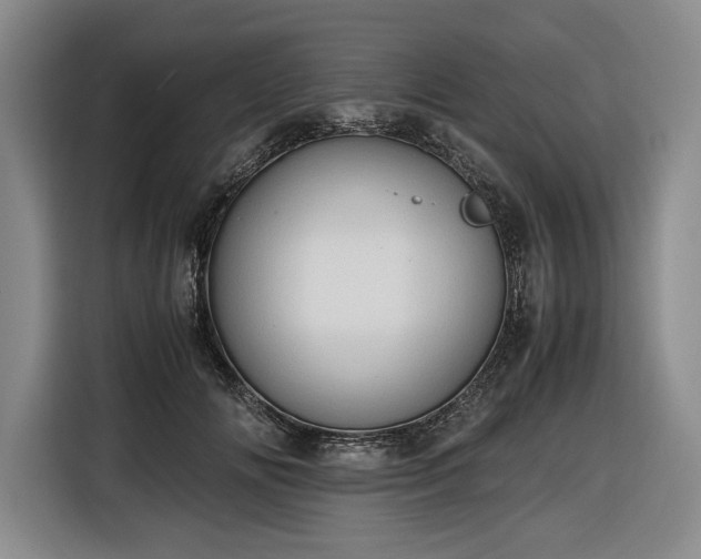 X0000116680702200912211624