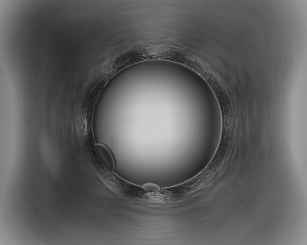 X0000116680703200912211624