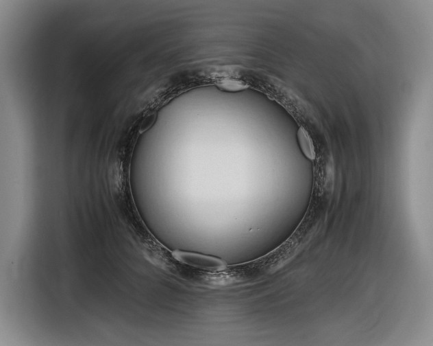 X0000116680704200912211624