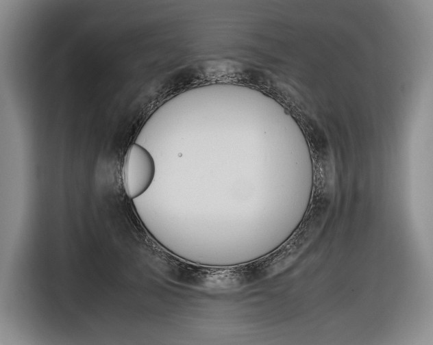 X0000116680705200912211624