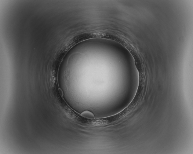 X0000116680707200912211624