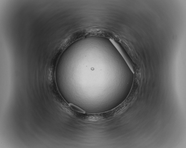 X0000116680708200912211624