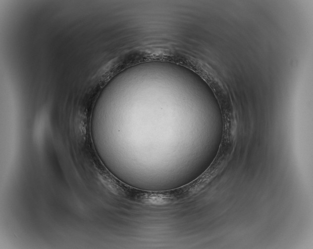 X0000116680710200912211624